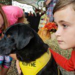 People and pets in kids being kids adopting older dogs in wild words and motivational words.